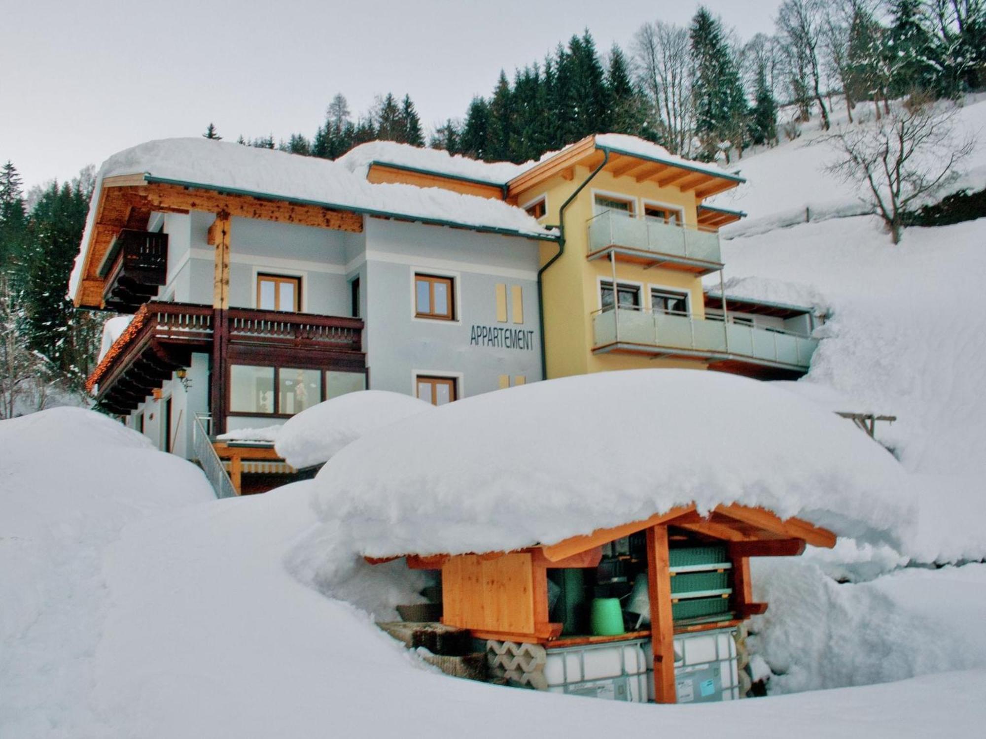Beautiful Apartment In Zell Am See Near Ski Area Exterior photo